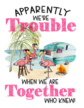Load image into Gallery viewer, Apparently We Are Trouble When We are Together Who Knew