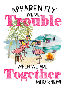 Apparently We Are Trouble When We are Together Who Knew